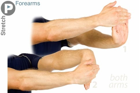 Forearms