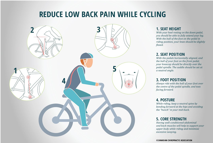 cycling good for lower back pain