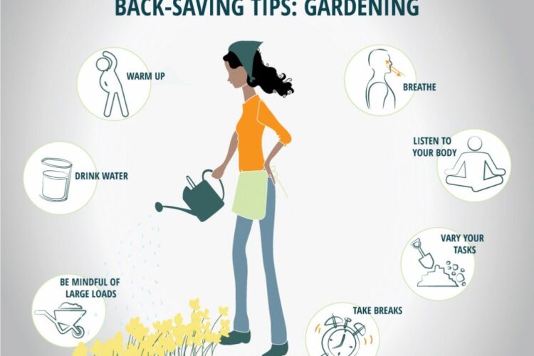 Tips for Keeping your Back Healthy While Gardenin