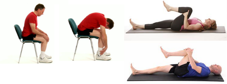 Lower back Stretches