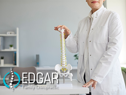 Woman wearing a lab coat, holding a model of a human spine in edgar chiropractic