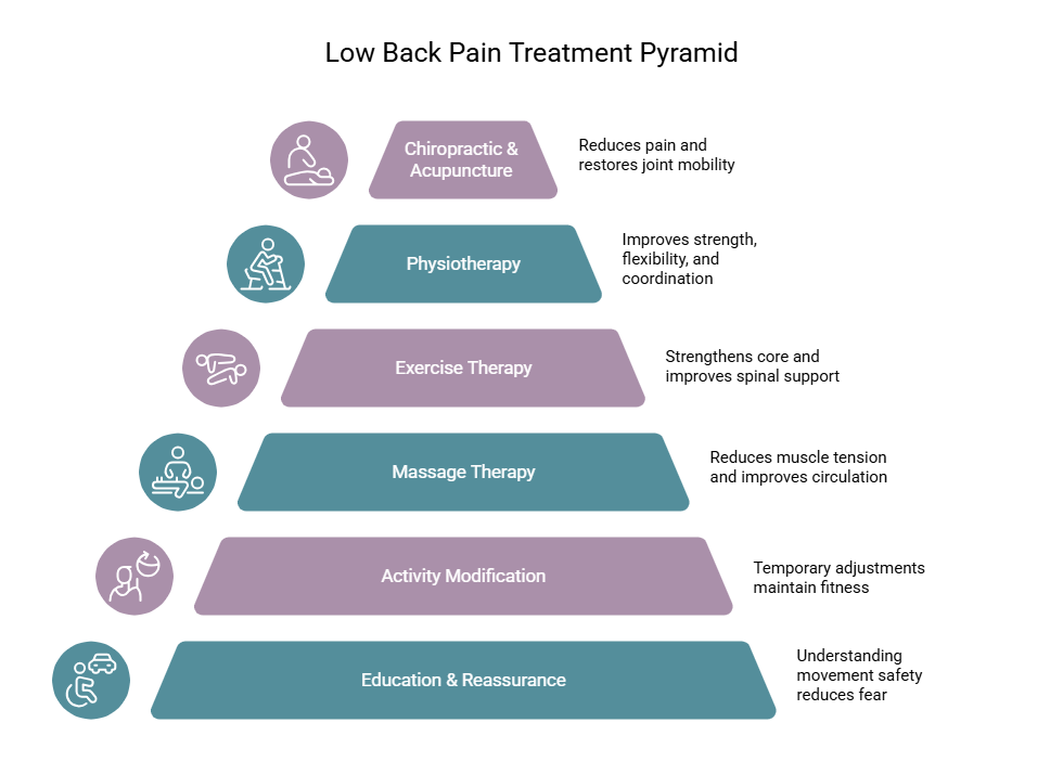 Low back pain treatment pyramid infographic showing education, activity modification, massage therapy, exercise therapy, physiotherapy, and chiropractic care.