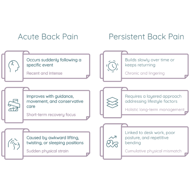 why back pain happens and what you can do about it
